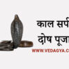Kaal Sarp Dosh Puja