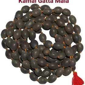 LORD SHIVA METALS Kamalgatta Mala/Natural Lotus Seeds Mala