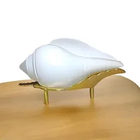 Small Jal Shankh With Brass Stand For Puja | Premium Quality Stand and Jol Shankh for Daily Pooja Use & Religious Occasions - 12 cm