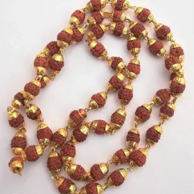 Realdivinas 100% Rudraksha 54+1 Beads Long Chain Rosary With Golden Cap Hindu Meditation Yoga Mala Rudraksha Mala for Men/Women